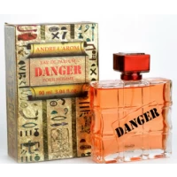 Парфюмированная вода для мужчин Andre L`arom Danger 100 мл