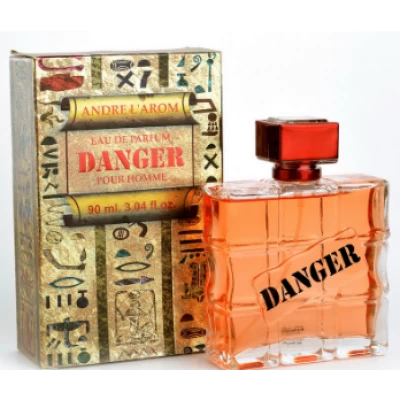 Парфюмированная вода для мужчин Andre L`arom Danger 100 мл