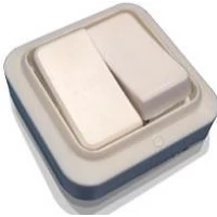 Выключатель 2-й наружный А56-У02 Б.Ц