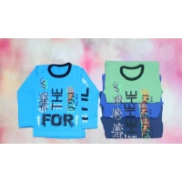 Детский реглан Фан (фуликра) 1682 Размеры 28-34