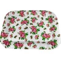 Поднос пластиковый 48х36см 