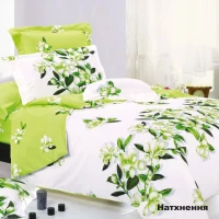 Комплект постельного белья Семейка ранфорс VILUTA Вдохновение