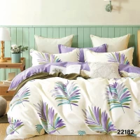 Комплект постельного белья Полуторка ранфорс VILUTA 22182