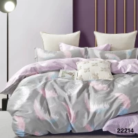 Комплект постельного белья Евро ранфорс VILUTA 22214