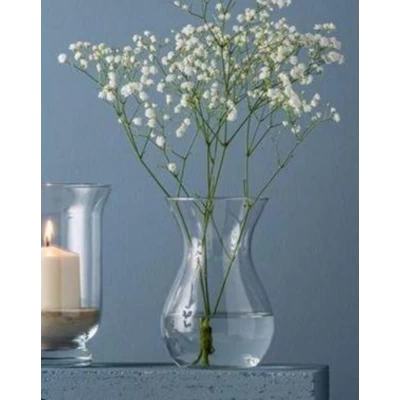 Стеклянная ваза (18см) Стеклянная ваза (18см)