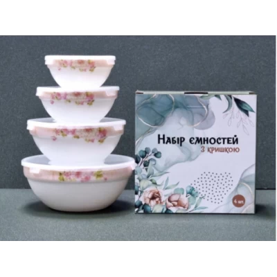 Набор салатников 4 предмета с пластиковыми крышками