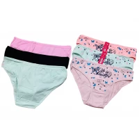 Женские трусы Хлопок, РОСТОКА от 50 до 54 размера, 30017