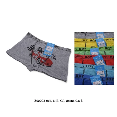 Детские трусики шорты на мальчиков 5-6, 7-8, 9-10, 11-12 лет, 2203 Детские трусики шорты на мальчиков 5-6, 7-8, 9-10, 11-12 лет, 2203