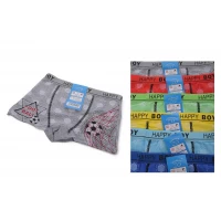 Детские трусики шорты на мальчиков 5-6, 7-8, 9-10, 11-12 лет, 2102