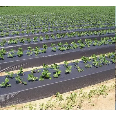 Пленка для мульчирования грунта 0.7х500м (10кг) Толщина 30мкм. С защитой от ультрафиолета Пленка для мульчирования грунта 0.7х500м (10кг) Толщина 30мкм. С защитой от ультрафиолета
