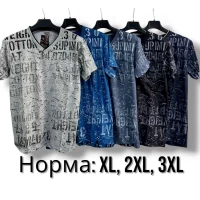 Футболка чоловіча трикотажна, норма. Розміри: XL, 2XL,3XL. (6XL, 7XL, 8XL.) різного кольору 