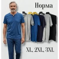 Футболка чоловіча трикотажна. Норма. Розміри: XL, 2XL, 3XL.
