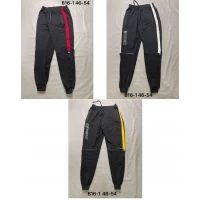 Чоловічі спортивні штани на манжеті. Розміри 46-54. Матеріал двонитка. 85345