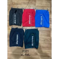 Шорты плащёвка с сеткой 46-54 (2021)