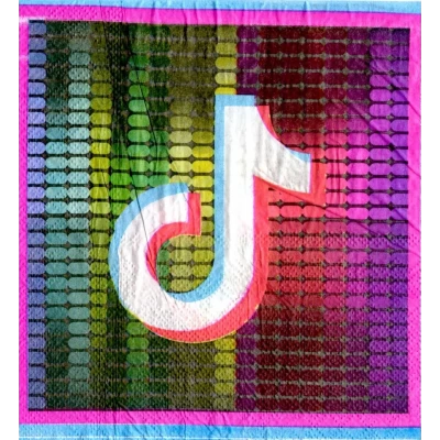 Салфетки бумажные двухслойные "Тик Ток" 20 шт Салфетки бумажные двухслойные "Тик Ток" 20 шт