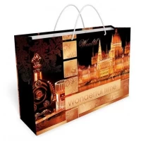 Пакет для подарка большой горизонтальный "Ночной город" 36х24 см 