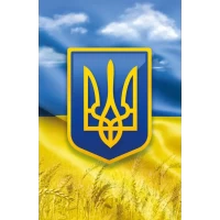 Пакет для подарка большой вертикальный "Україна" 25х37 см