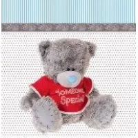 Подарочные пакеты "Мишка Тедди" 23 х 24 см Подарочные пакеты "Мишка Тедди" 23 х 24 см