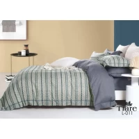 Комплект постельного белья сатин Двойной Viluta Tiare Deluxe 011