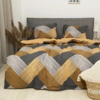 Комплект постельного белья Семейка ранфорс VILUTA 23240