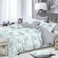 Комплект постельного белья Полуторка ранфорс VILUTA 24301