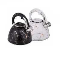 Чайник EDENBERG EB-8864 3.00 л