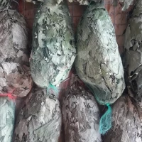 Веник дубовый в сетке для бани и сауны