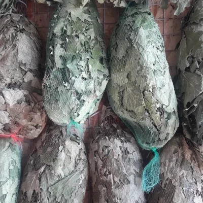 Веник дубовый в сетке для бани и сауны