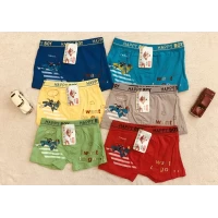 Трусы хлопковые шорниками от 5 до 7 лет