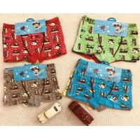 Хлопковые трусы шорниками от 3 до 6 лет