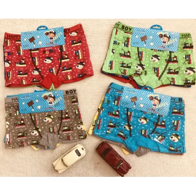Хлопковые трусы шорниками от 3 до 6 лет
