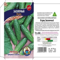 Семена огурец ЗАСОЛОЧНЫЙ – 50-70ШТ