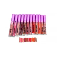 Блеск для губ матовых оттенков Kylie (Палитра 12 шт)