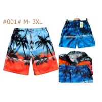 Шорты мужские плащёвка, сетка. Размер 48-56