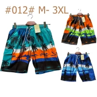 Шорты мужские плащёвка, сетка. Размер 48-56