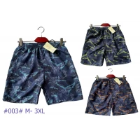 Шорты мужские плащёвка, сетка. Размер 48-56