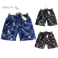 Шорты мужские плащёвка, сетка. Размер 48-56