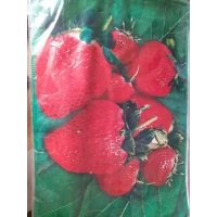 Полотенце кухонное Микрофибра 60 см / 40 см