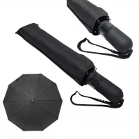 Зонтик мужской полуавтомат на 10 карбоновых спиц "антиветер", 242 Венгрия