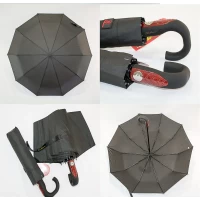 Зонт мужской полный автомат на 10 карбоновых спиц "антиветер", 602 Венгрия