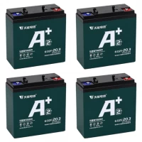 Акумулятор тяговий 12V 20,3Ah 6-DZF-20.3 для електроскутера AD26-4820