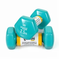Гантели Gemini Sport для фитнеса с виниловым покрытием 2 шт. по 2,5 кг GSD-2.5CYAN