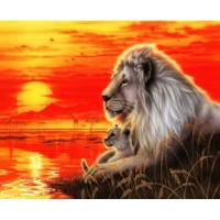 Картина по номерам 40 х 50см  