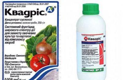Фунгицид Квадрис 6мл, для защиты овощей от всех основных болезней Фунгицид Квадрис 6мл, для защиты овощей от всех основных болезней