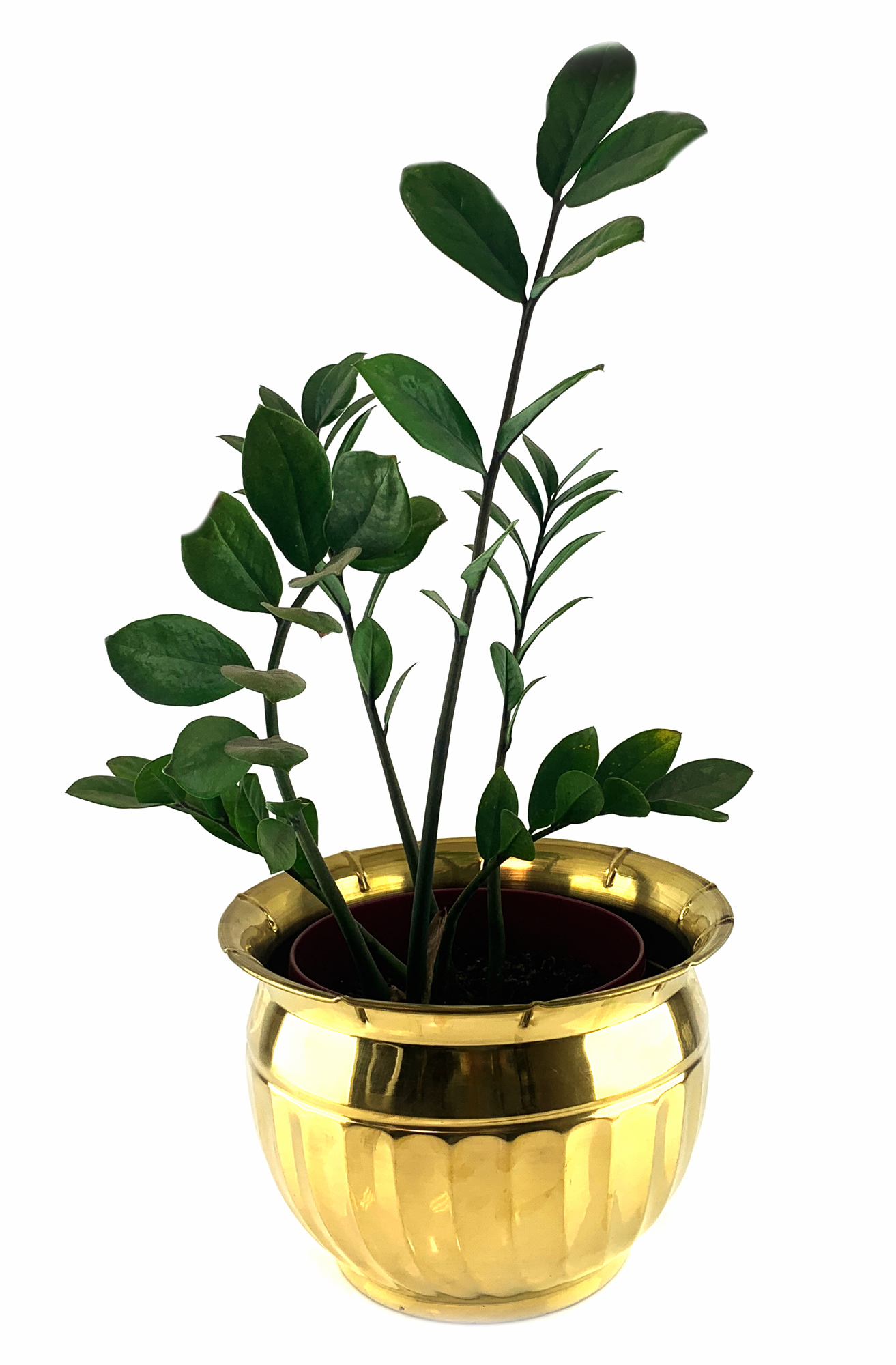 Кашпо « Золотистая Роскошь» ( 18х 25,5 см) Кашпо « Золотистая Роскошь» ( 18х 25,5 см)