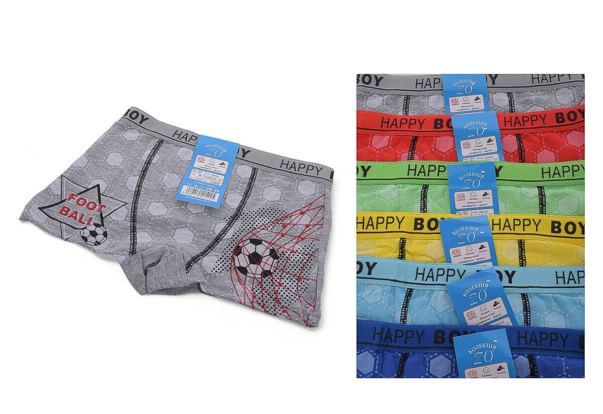 Детские трусики шорты на мальчиков 5-6, 7-8, 9-10, 11-12 лет, 2102 Детские трусики шорты на мальчиков 5-6, 7-8, 9-10, 11-12 лет, 2102