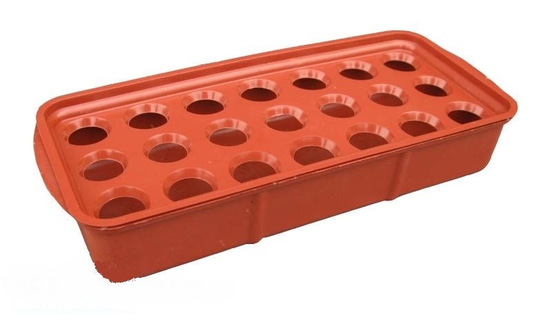 Пластиковый поддон для выращивания лука 35х15х6,6 см Пластиковый поддон для выращивания лука 35х15х6,6 см