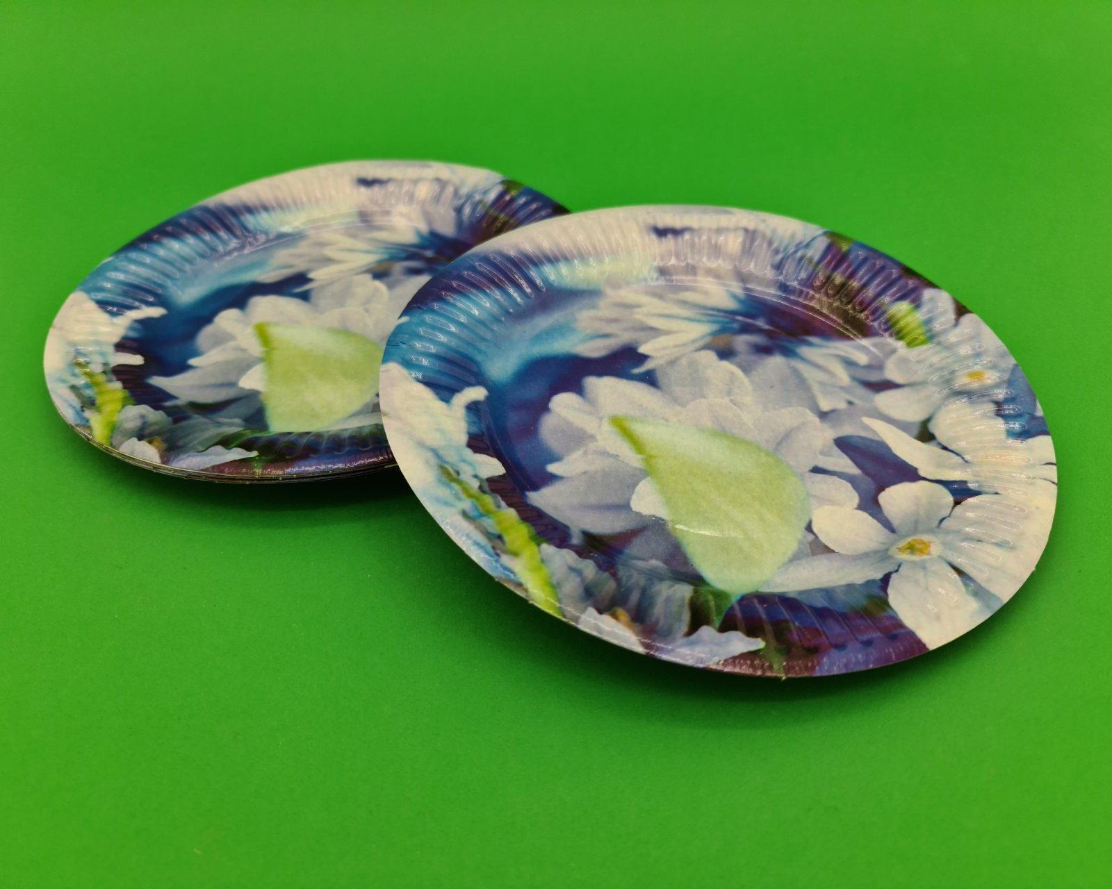 Бумажная тарелка с рисунком 18см Бумажная тарелка с рисунком 18см