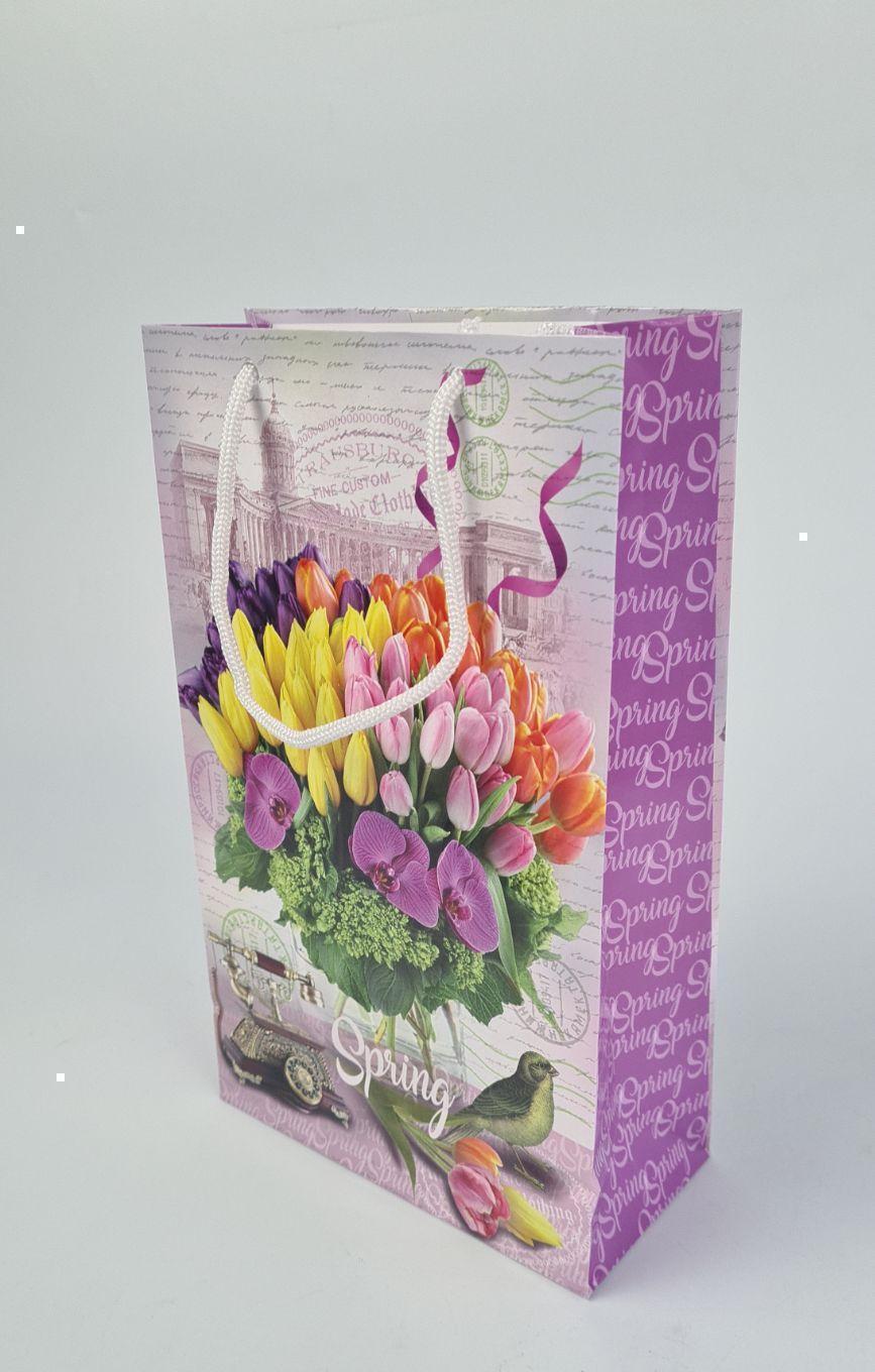 Бумажный пакет подарочный Средний 17/26/8(артSV-149 ) (12 шт)