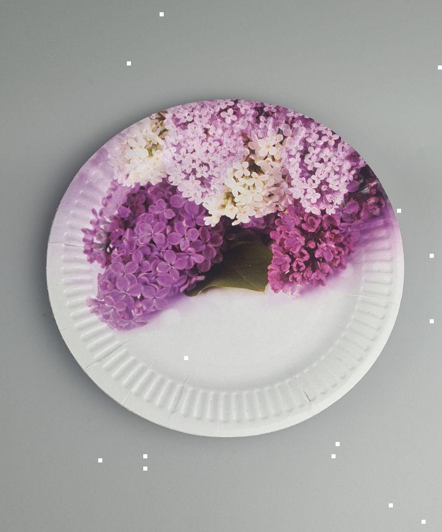 Бумажная тарелка с рисунком 18см Бумажная тарелка с рисунком 18см